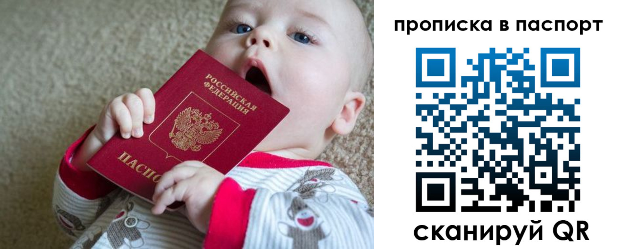временная регистрация гарантия в Дорогобуже